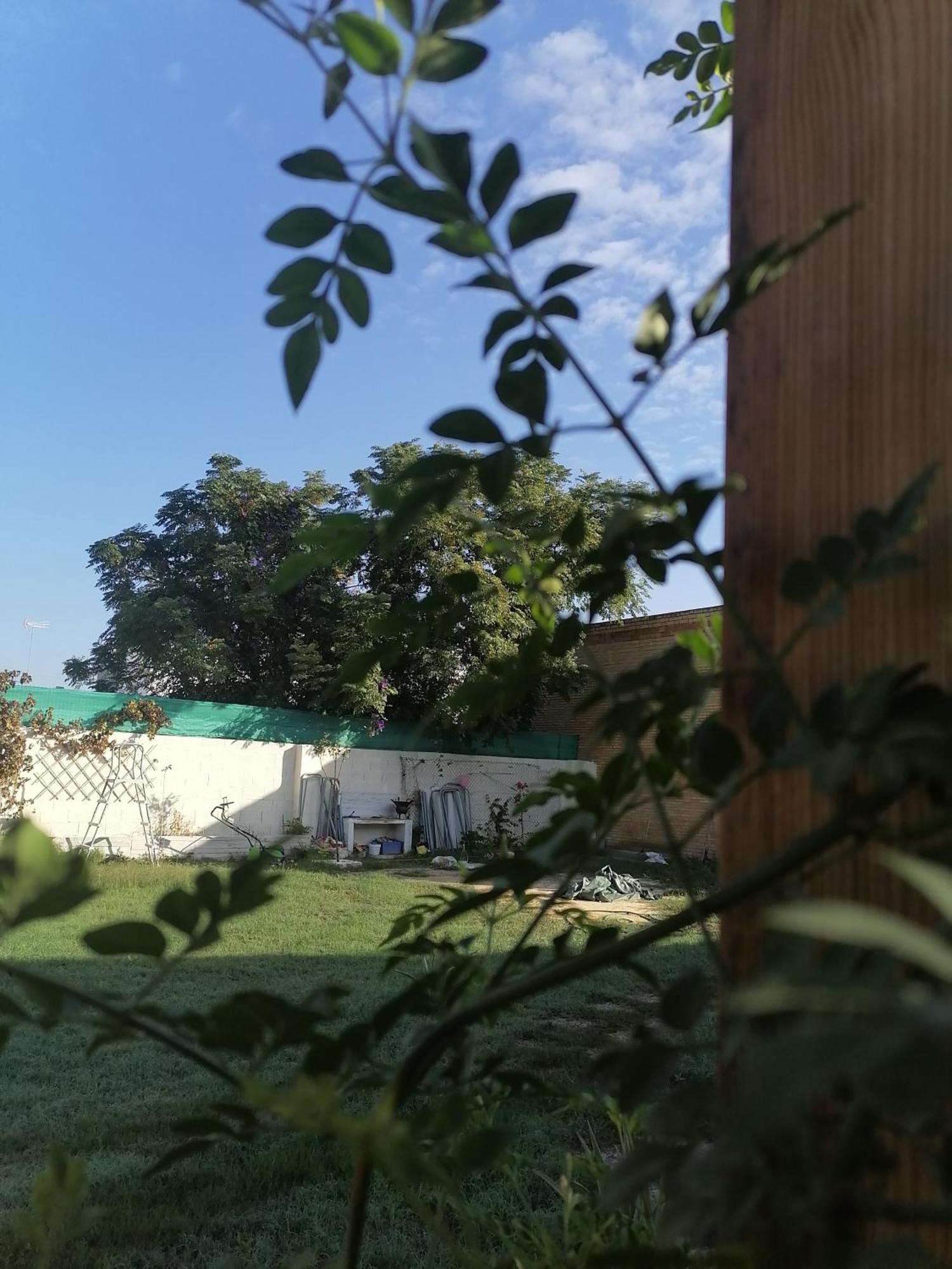 Cabana El Salto Del Duende Villa Carrion de Los Cespedes Exterior foto